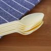 China Wholesale Disposable Dessert Spoons