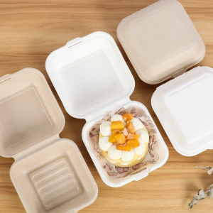 China Wholesale Disposable Eco-Friendly Bento Box