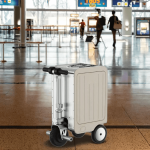 China Wholesale Scooter Luggage